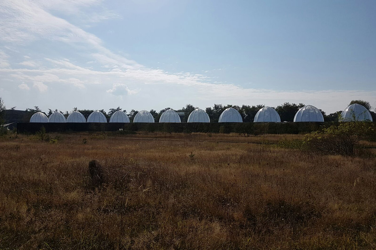 OTCRAFT 22-teiliges Set Transparente Kuppeln & Stanzformen Für Bastelarbeiten