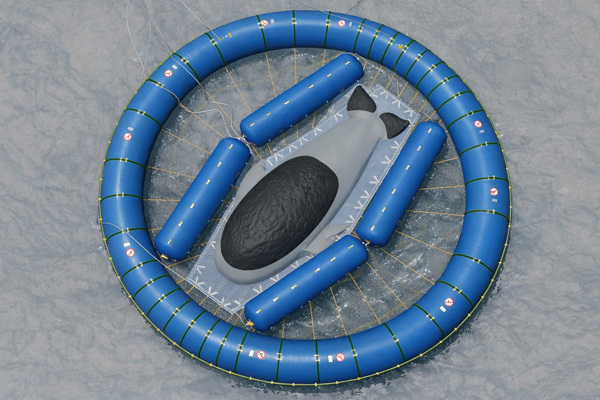 Whale Supported By Inflatable Platform