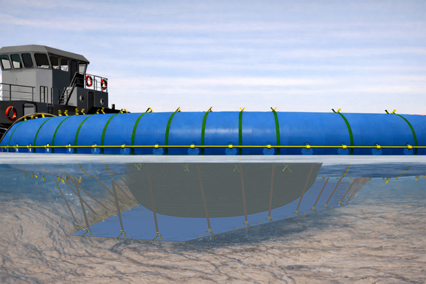 Rescue Humpback Whale Timmy