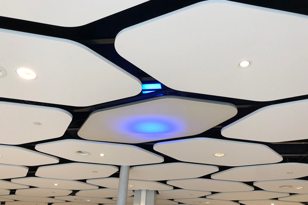 Etfe Ceiling Panels1