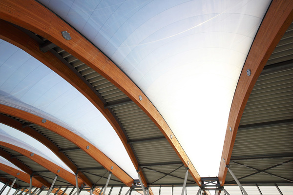 Etfe Walviskussen5