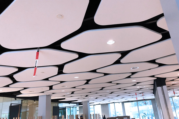 Etfe Plafondpanelen