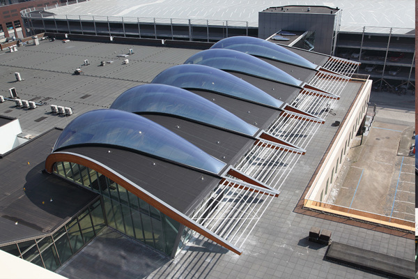 Etfe Walviskussen1