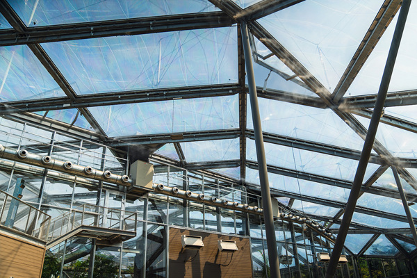 ETFE Dak Hortus