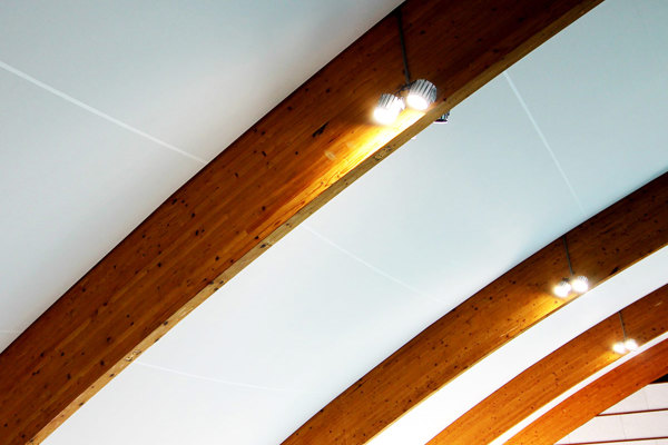 Zwembadplafond2