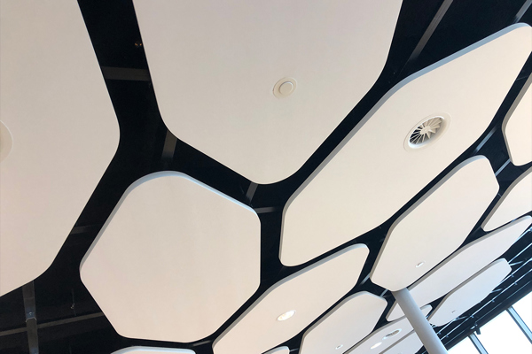 Etfe Plafondpaneel