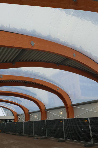 Walvisdak Etfe