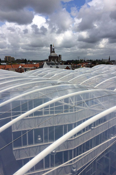 ETFE Roof