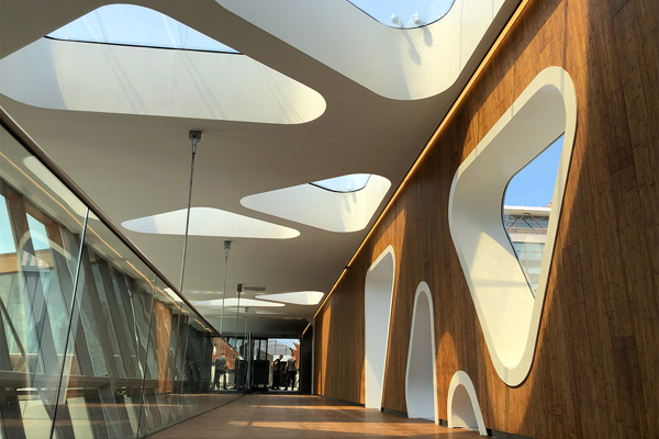 Etfe Daylight 1